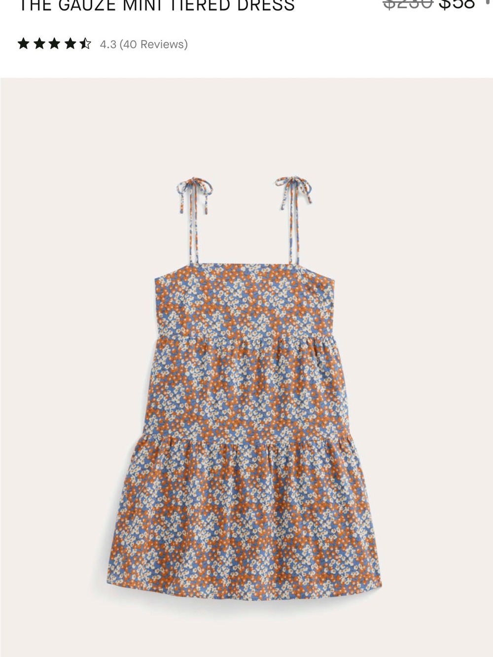 Everlane Gauze Mini-tiered dress